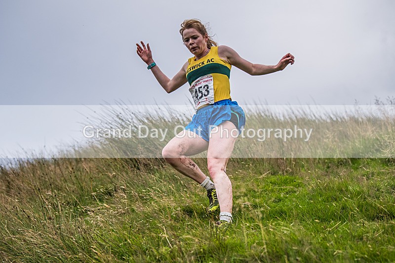 Steel Fell-516 - Steel Fell Race Wednesday 6th August 2025