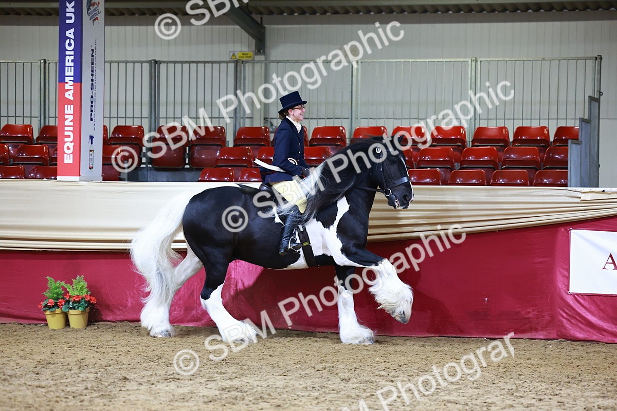SBM_23593 - class 906 - Supreme Final - Ridden Pre Vet