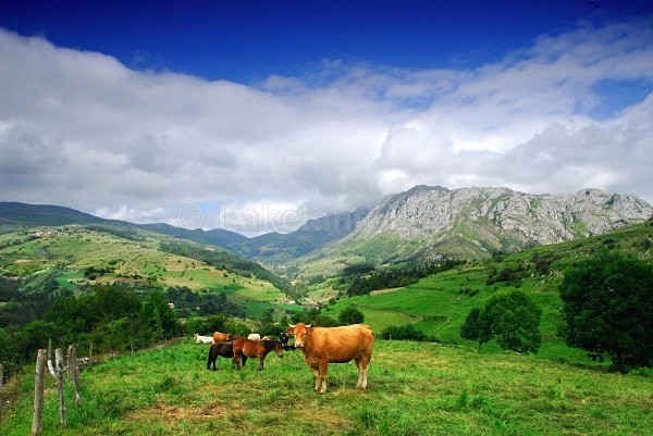 Picos View - Picos de Europa, Spain