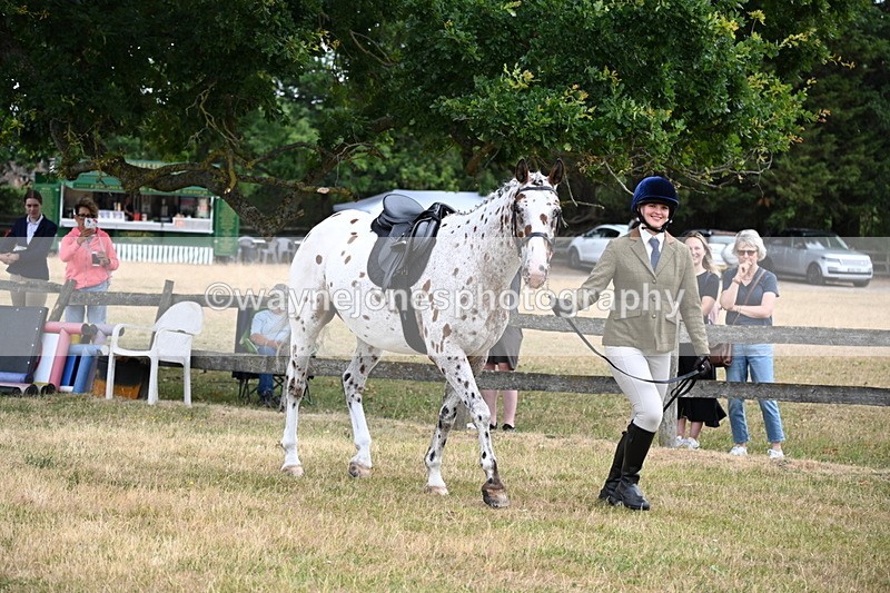 WJ6_3850 - Class 9 Tack & Turnout