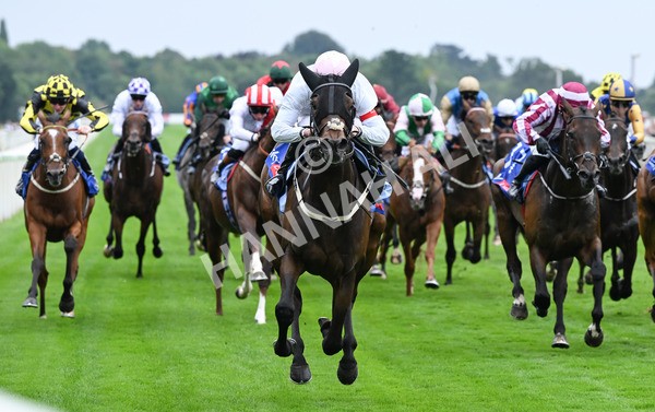 230825-125 Ethical Diamond - Race 4 3.35pm Sky Bet Ebor Handicap