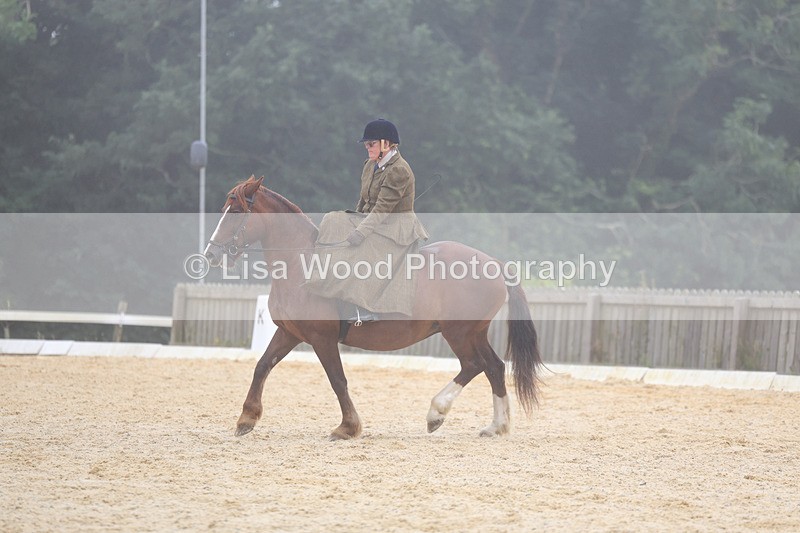 3E7A6905 - Class 5: Prelim to Music