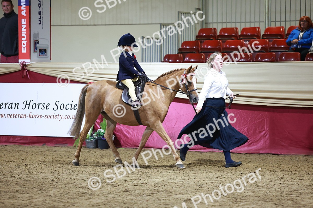 SBM_21530 - Class V - Champion of Champions