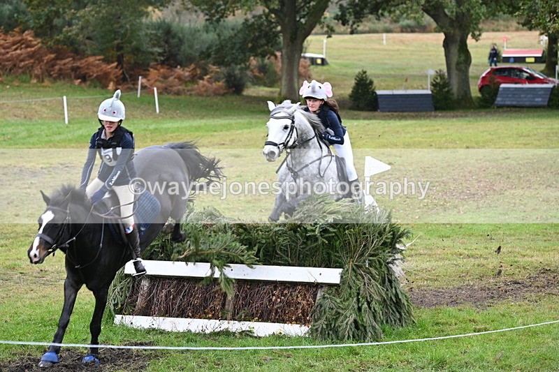 WJ6_3005 - 80cm Cam 1 Pairs Time 12:19 to 12:49