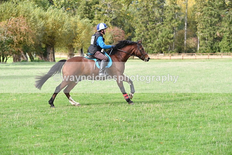 WJ5_0367 - Time 13:59 to 14:28