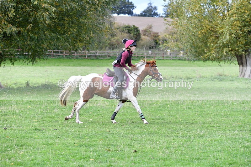 WJ5_0619 - Time 13:59 to 14:28