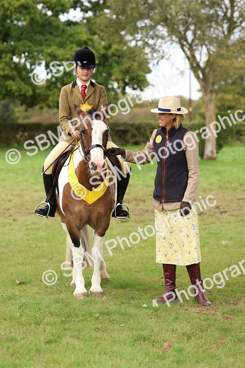 SBM_65216 - S59 - Part Bred Arab & Native Pony Ridden