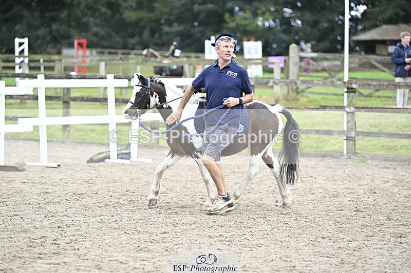 240822X-140532-08765 - 40cm LR R2 13.00 to 15.00