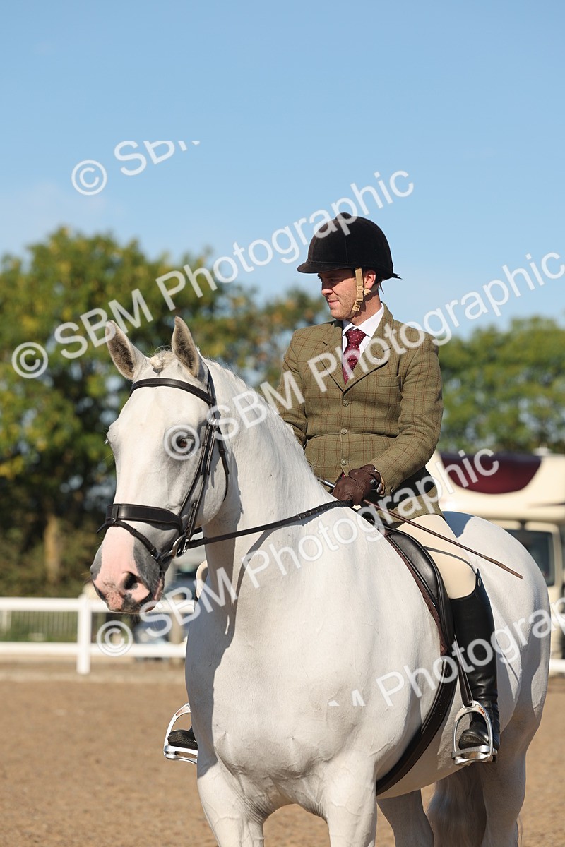 SBM_12241 - Class 303 - Ridden Pure Bred Horse Pony