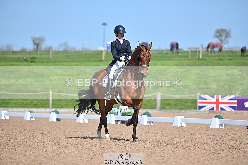 250405-130335-10825 - 028-Elizabeth.Allen-Heraldik