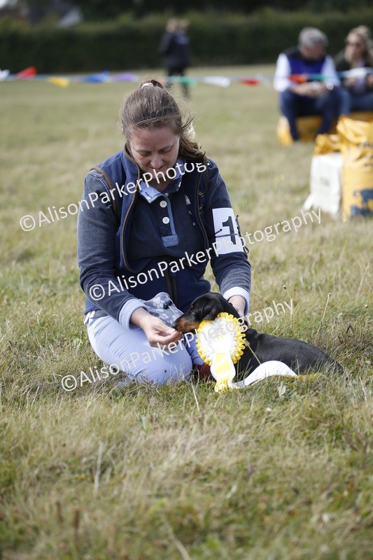 20250831-3813 - Dog Show