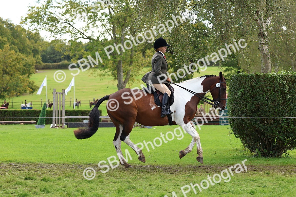 SBM_45206 - S27 - Young Veteran Ridden