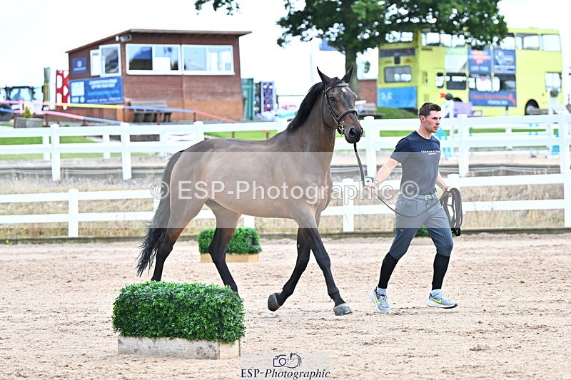 240718A-105328-02049 - Trot Up 2pm to 3pm - This folder is not in time order