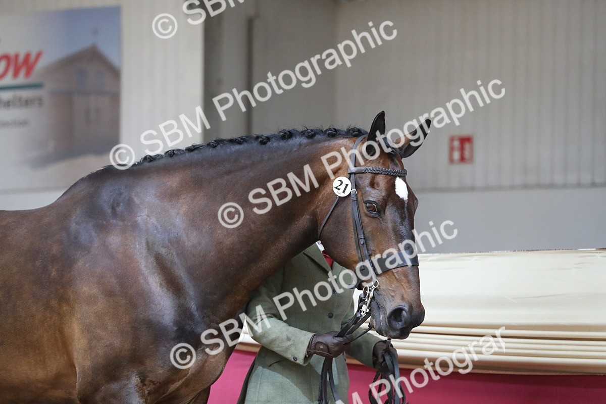 SBM_04912 - Class 8R- Regional -IH Veteran