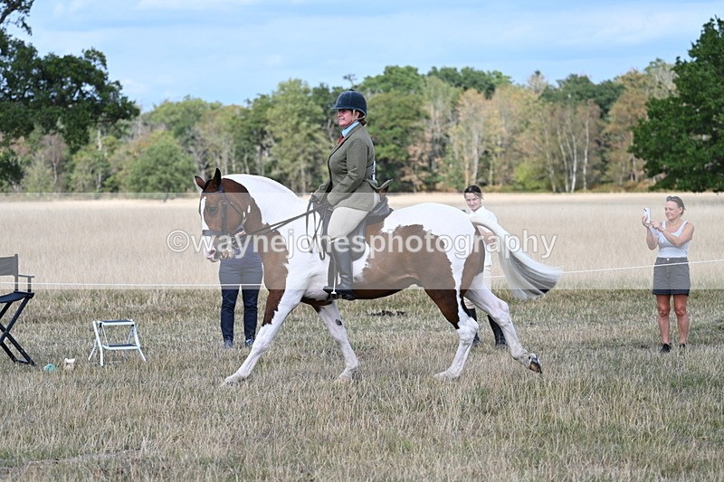 WJ7_6966 - Class 14 Ridden Coloured