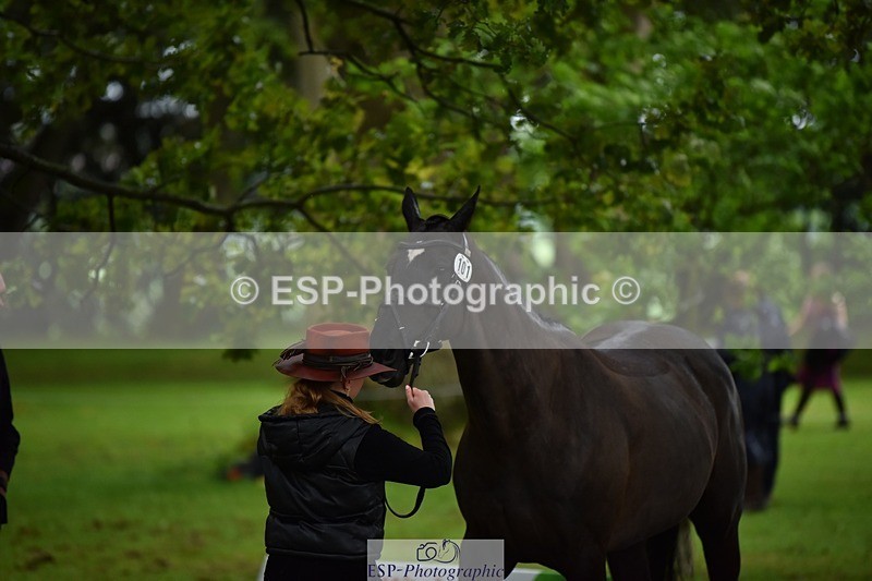 240522-155048-00525 - 101-MORELANDS_CASANOVA-Daisy_Bathe