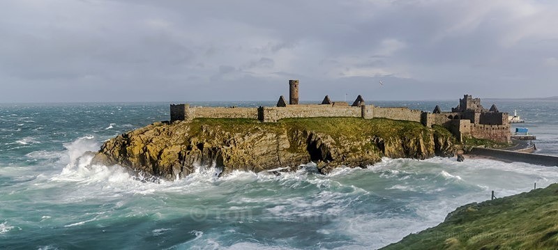Windy at Peel Castle - Land of Man