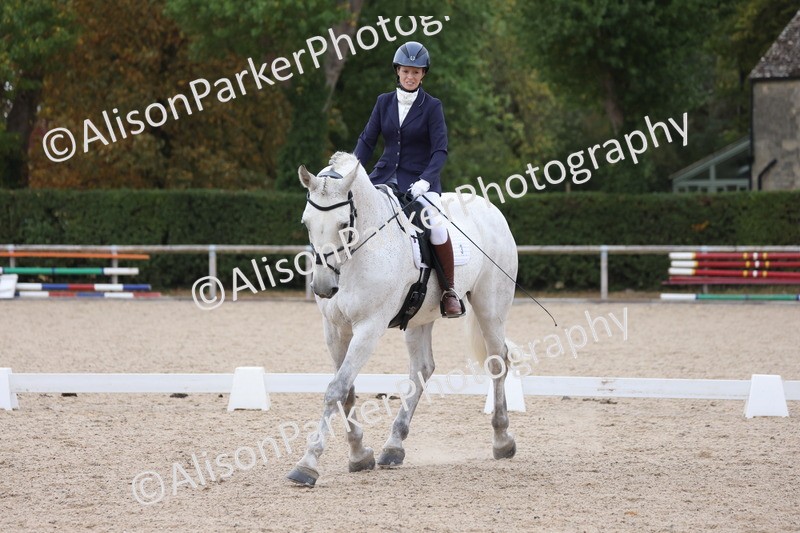 20250820-0312 - Class 11 - My Quest Novice 3