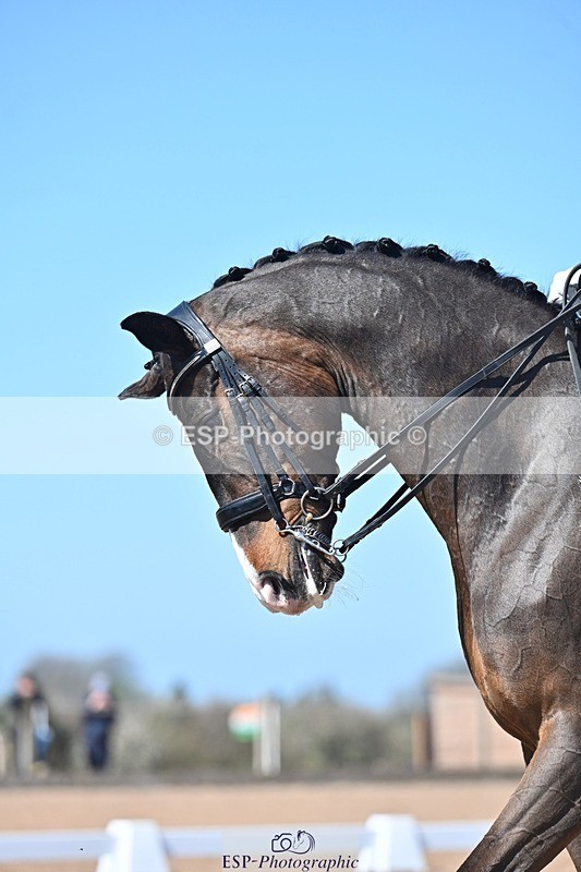 250406-124302-12471 - 032-Darren Hicks-Sir Robinson