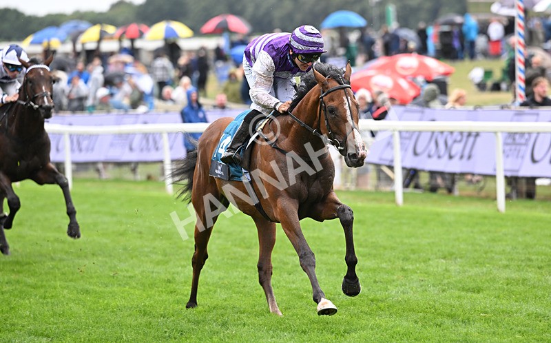 200826-164 Mia Fantasia - Race 6 16.45pm Mews Hotel Ossett EBF Stallions Nursery Handicap