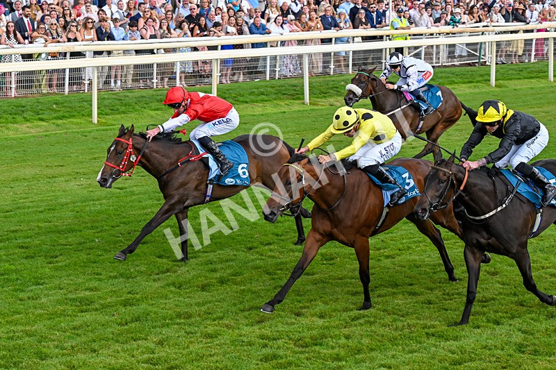 250726-Race 5-Rogue Jewel-1089 - Race 5 15.42pm Sky Bet Price Boosts EBF Fillies' Novice Stakes