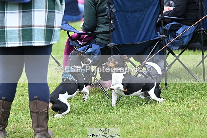250525A-095310-15748 - Western Counties Crowds
