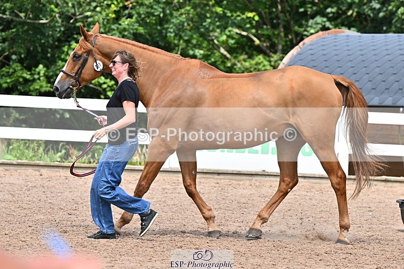 240718A-105320-01862 - Trot Up 1pm to 2pm