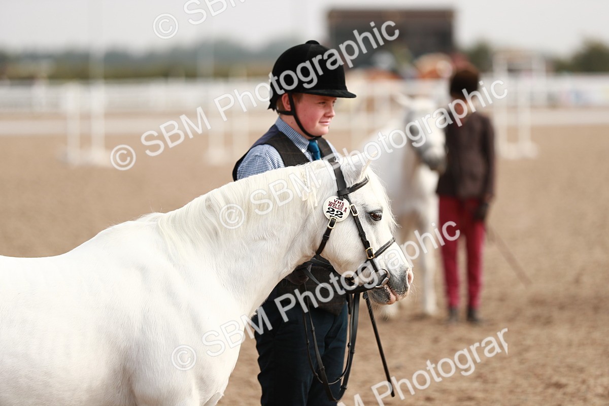 SBM_10552 - Class 204 Young Handler, 11-16 years