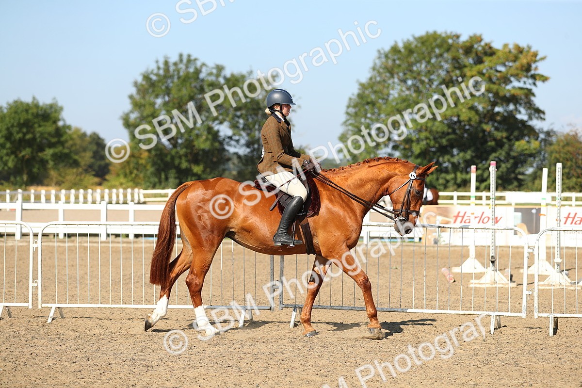 SBM_02173 - Class 43 Ridden Competition Horse/Pony