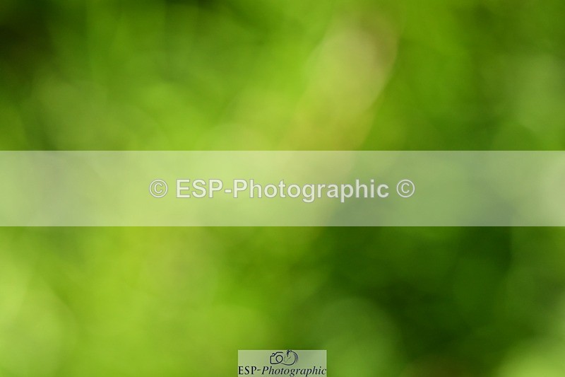 231110-124724-01472 - Cls 6 Elementary 57Q