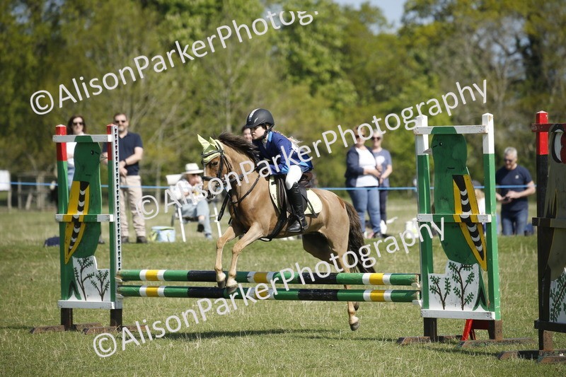 20250427-2118 - Class 13 - Novice Jumping 60cm