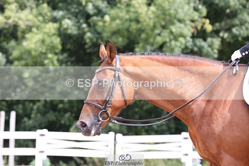 250620-100753-00378 - BD Cls 6 - Freestyle Novice