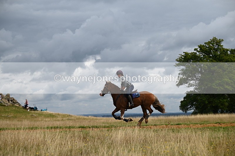 DSC_4552 - Time at Statue 09:50 to 11:09