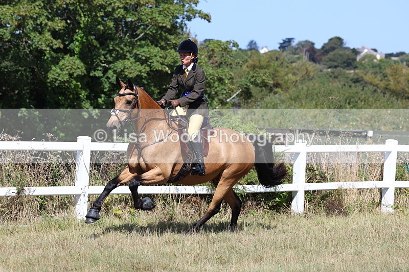 3E7A6431 - Working Hunter Championship