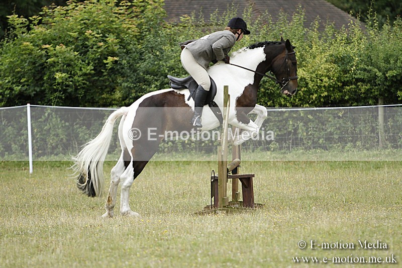 BVR160717-120 - Ring 3 BVRC Show 16/07/17