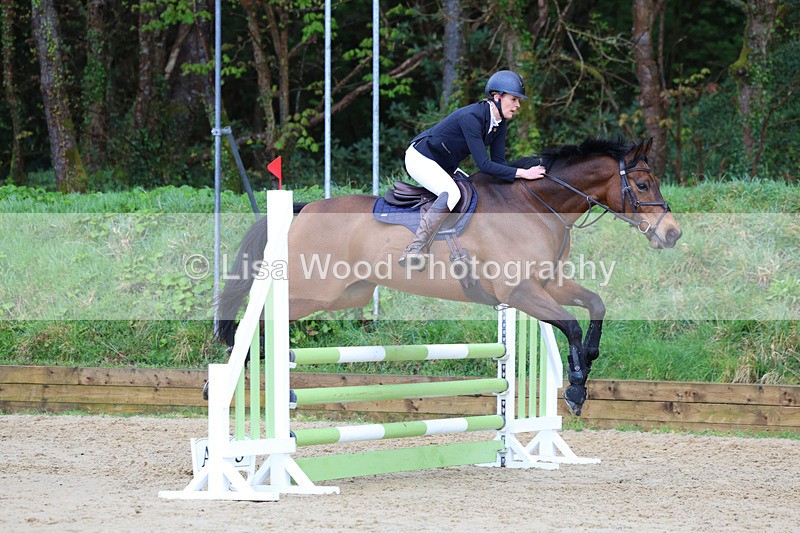 3E7A0706 - Class 4: Senior British Novice/90cm open