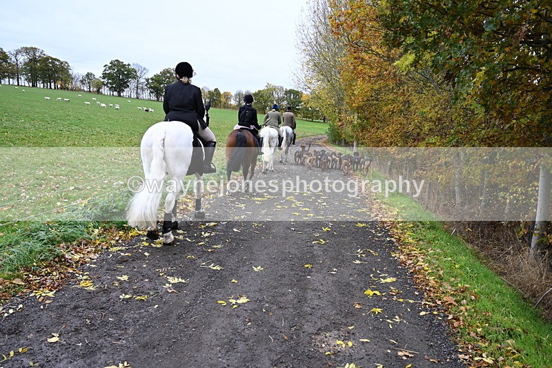 WJ6_9258 - Ride