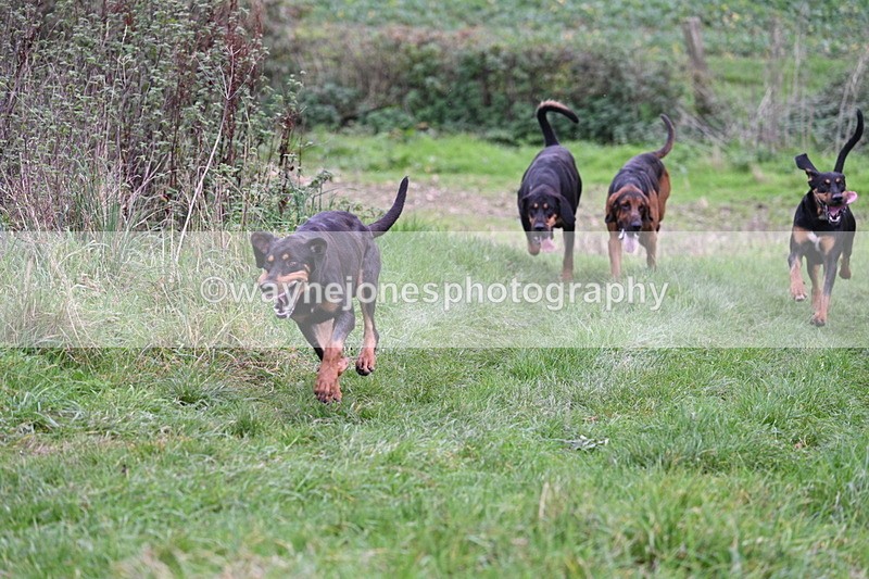 WJ7_8904 - Camera 1 only on this line