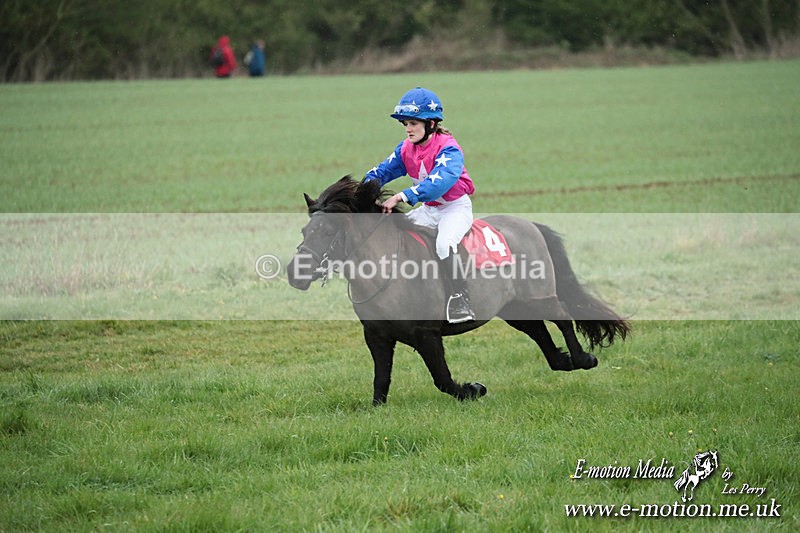 SHETPR 210425 113 - Shetland Ponies Paxford Races 21/04/25