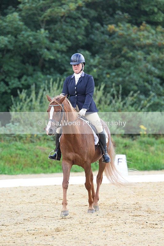 3E7A1937 - Class 1: Intro 4 2024 section A