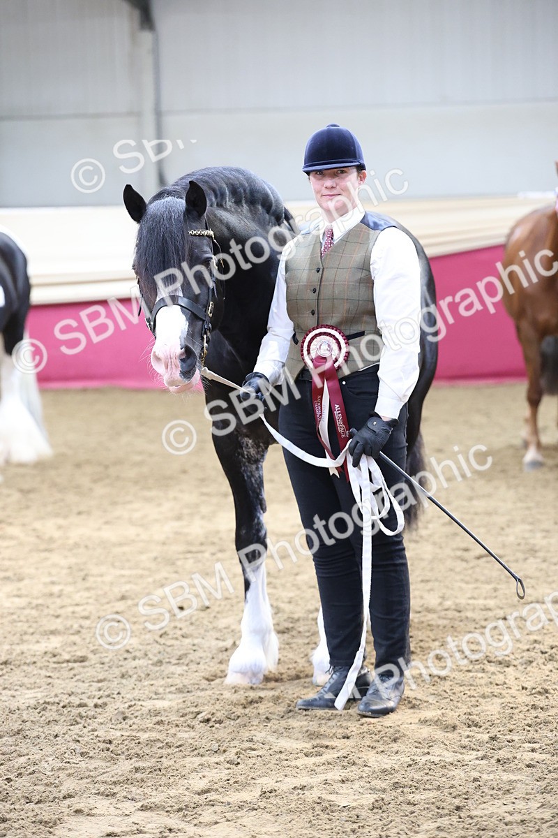 SBM_22560 - Class 902 - Supreme Final - IH Diamond