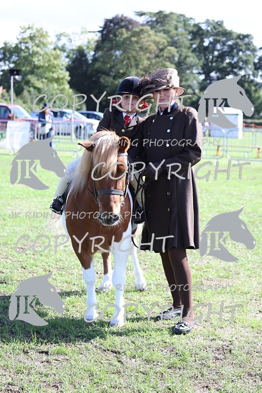 APP_3871 - Class 13 Lead rein