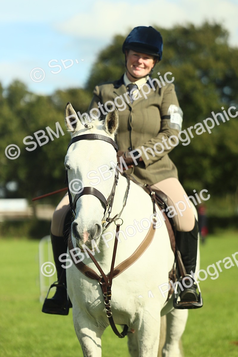 SBM_49841 - S32 - Novice & Newcomers Working Hunter