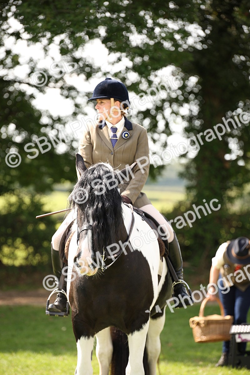 SBM_70112 - S65 - Piebald & Skewbald Horse Ridden