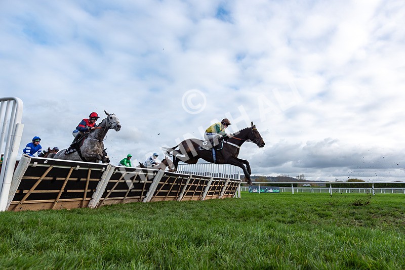 161125-Race 1-Gaelic Pride-2907 - Race 1