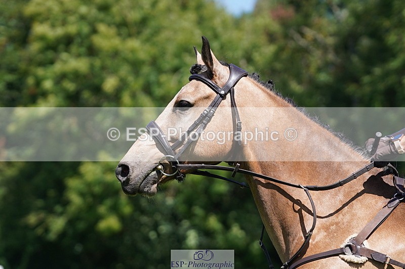 240811A-121136-02832 - 074-