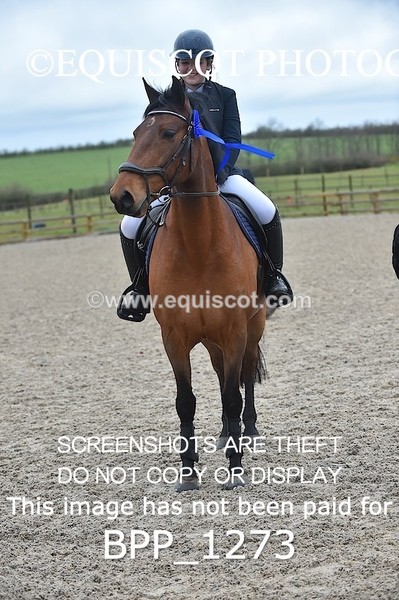 BPP_1273 - CLASS 4 Club/ Unaffiliated 80cms Open