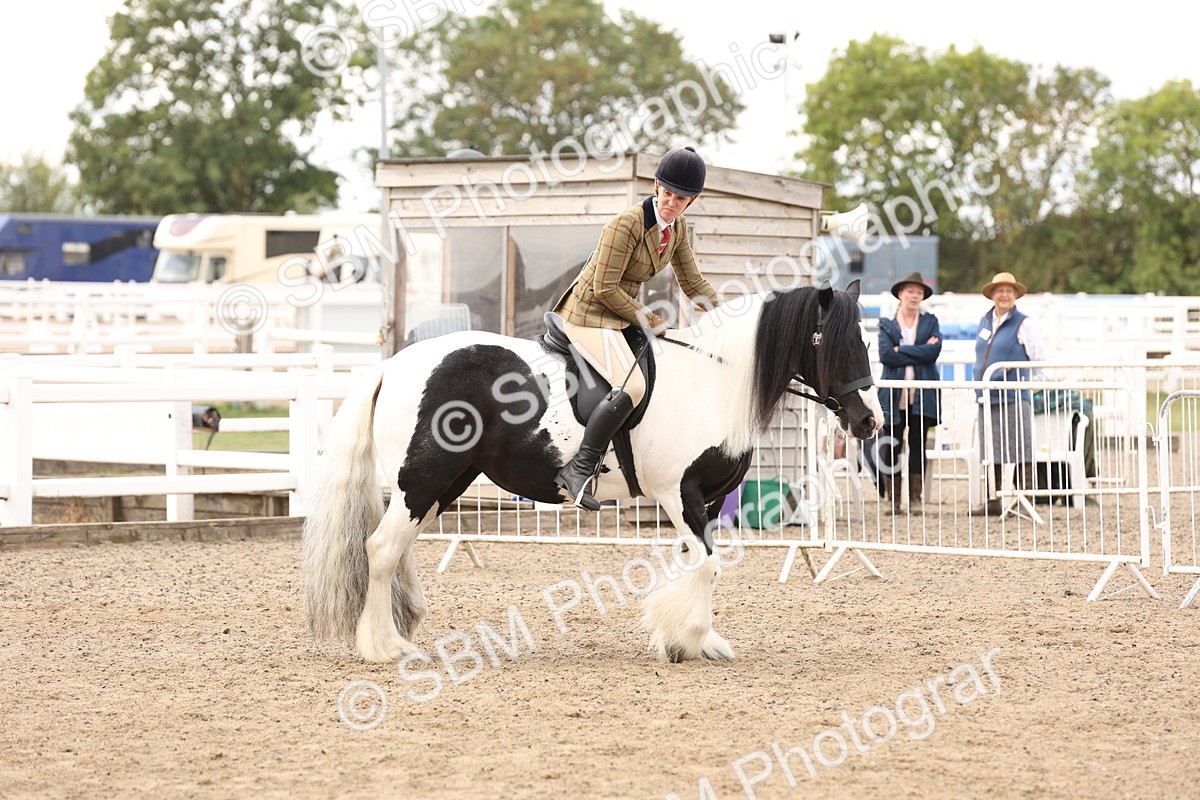 SBM_04243 - Class 54 - Riding Club Horse/Pony