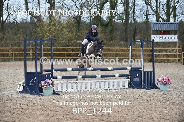 BPP_1244 - CLASS 4 Club/ Unaffiliated 80cms Open