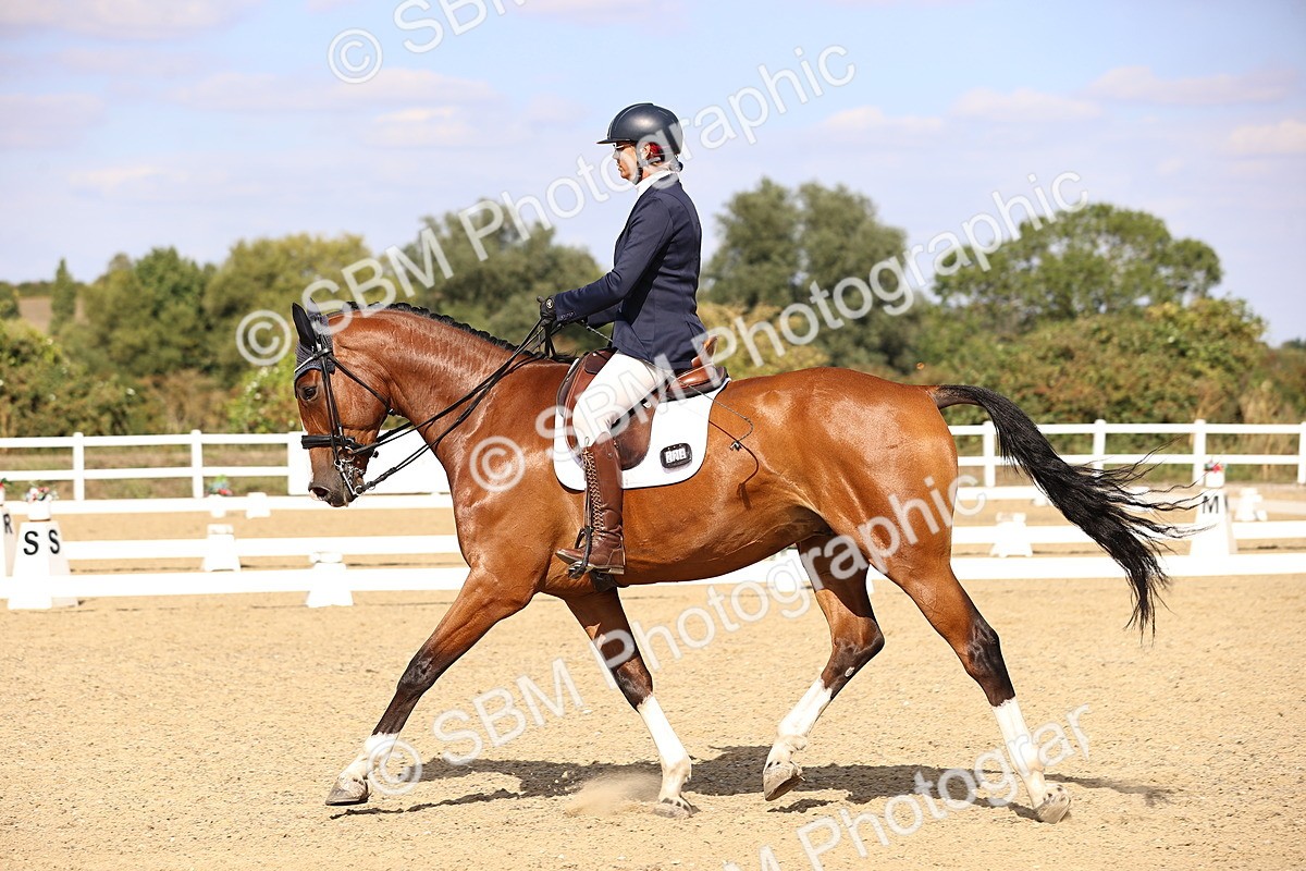 SBM_015201 - Class 8 - Medium 5